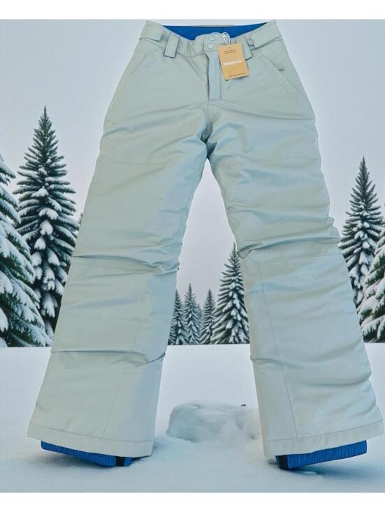 Patagonia Other - $169 Patagonia Powdertown Snow Pants Thermal Blue Size Large